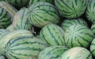 西瓜的品种,常见品种有小天使、京秀、黑金刚等