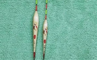 中国浮漂品牌排行榜，十大品牌分别是达摩、佳钓尼、化氏等