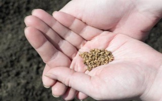 恶霉灵如何使用，可浸种、拌种等