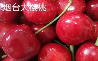 山东烟台市的特产,烟台海参闻名海内外