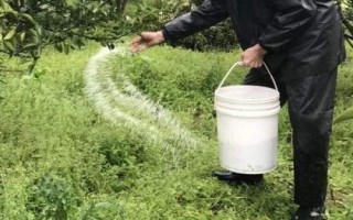 使用化肥要注意哪些问题,氮肥不能浅施、高浓度肥料不能一次性使用过多