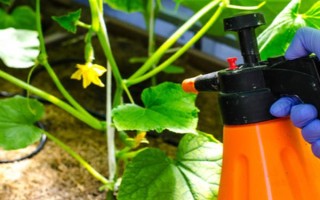 恶霉灵如何使用，可浸种、拌种等