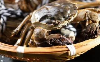 24小时之内死了的螃蟹能不能吃，需要根据保存条件决定