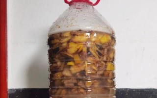 怎么把水果皮做成花肥,洗净切碎后装入容器中发酵