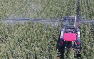 植物生长调节剂与植物激素有什么区别，前者属于人工合成的化合物、后者属于植物自身分泌的化合物