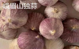 四川省峨眉山市的特产,藤椒最为出名