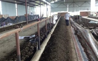 蚯蚓没有销路如何解决，卖给渔具店是不错的选择