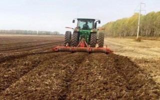 西瓜8424大棚吊蔓栽培技术，播前先将种子晒2天