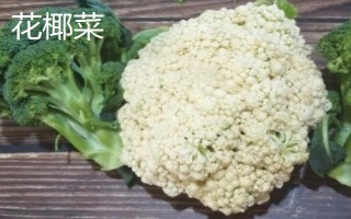 哪些蔬菜适合在3月份种植,包括空心菜、丝瓜、苋菜等品种