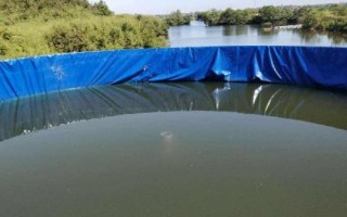 锯缘青蟹如何养殖,是我国珍贵的水产品之一