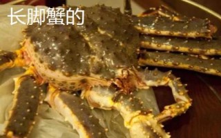 长脚蟹的产地，主产于寒冷海域