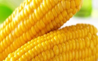 盛谷2号(试验名称:盛谷2号)玉米种子简介,两年区试平均生育期126天
