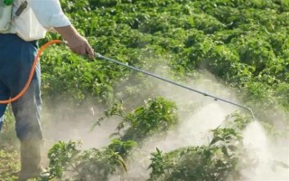 毒死蜱能杀死蚧壳虫吗，效果不是非常好