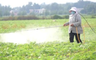 苏子的产地，在我国主产于安徽、湖南、台湾等省份