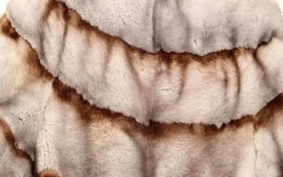 水貂皮草如何鉴别好坏，皮料柔软、无异味、加工精良的貂皮比较好