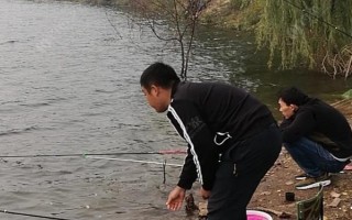 如何野钓鲫鱼，垂钓处以水草、石块较多的位置为宜