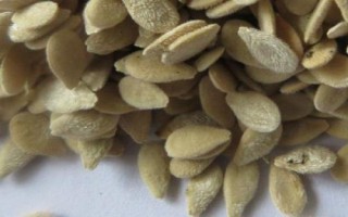 刺角瓜的原产地，原产于非洲卡拉哈里沙漠