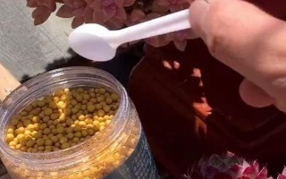 红大内的养殖方法,每隔3天浇一次水