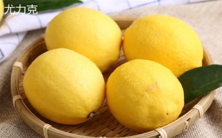 柠檬苗推荐品种，尤力克、菲诺、热那亚等品种值得选择