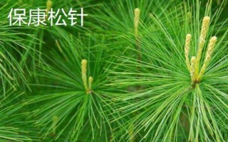 湖北襄阳能够带走的特产,包括襄阳黄酒、襄冬麦、宜城板鸭等种类