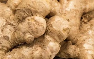 生姜的病虫害防治方法，可增施钾肥防治