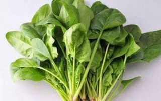 2月份适合种植的蔬菜，常见的有黄瓜、胡萝卜、菠菜等