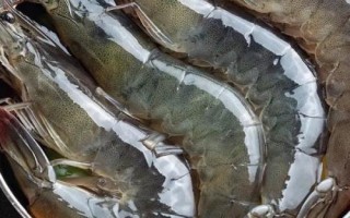 鲜活基围虾的价格，市场售价一般与规格有关