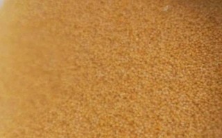 小鸡吃小米如何浸泡，直接用开水泡一段时间即可