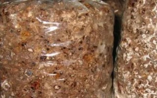 草菇种植技术,栽培季节根据温度和当地气温情况而定