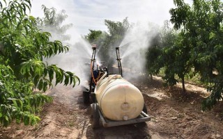 矿物油农药的使用方法，针对不同作物的使用方法不同