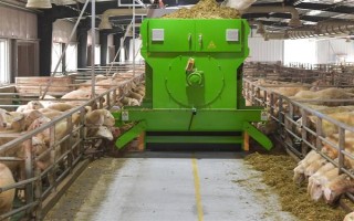 育肥羊的饲料配方，原料有玉米粉、草粉、玉米粒等