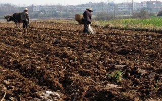 使用菌肥的基本原则，要确保有益菌能够存活并发挥作用