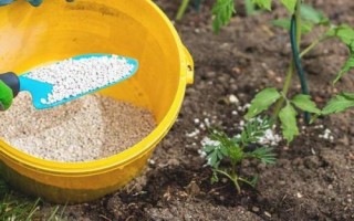 哪些肥料不能混用，农家肥不可与草木灰、石灰氮、石灰等混用