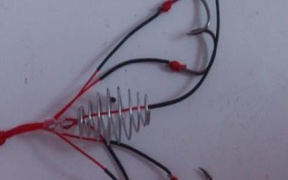 伊势尼3号钩可以钓多大的鱼，2-3斤的鲫鱼和鲤鱼均可垂钓