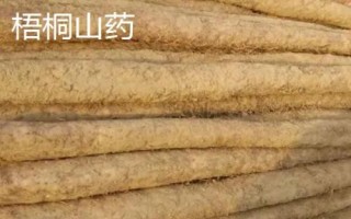 山西孝义市的特产，孝义火烧是当地特殊风味小吃