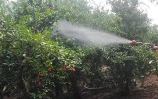 三乙膦酸铝能与其他农药混用吗,属于强碱性农药