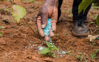 磷肥施用方案，要因土施用