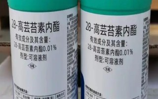 哪种特效药能解除除草剂的药害，使用芸苔素可以缓解、减轻药害