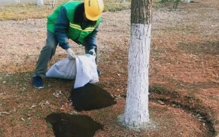 风铃木的寓意，花语是感谢
