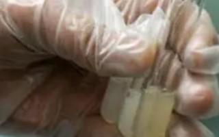 猪精液的保存温度，常温保存以15-25℃为宜