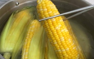 鲤鱼草鱼适合喂什么料，草料、自制饲料、专用饲料均可饲喂