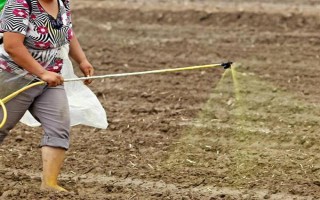 冬季打农药要注意什么，在晴天高温时段用药效果更好