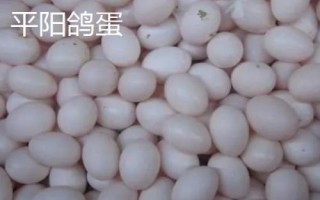 浙江省平阳县的特产,马蹄笋为当地传统名优特产