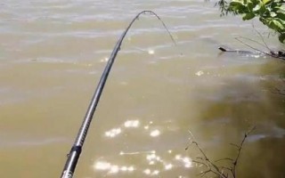 长竿短线钓有什么优势，浅水可钓适应性强调漂简单