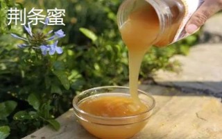 荆条蜜是什么蜂蜜,蜜源植物是荆条花