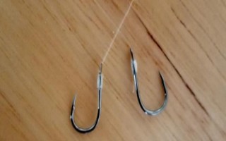 1.2子线配几号伊势尼钩合适，一般配3号伊势尼钩