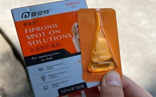 犬猫上呼吸道感染怎么治疗和护理，根据引发原因采取不同的解决措施