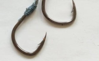 青鱼怎么钓，选择合适的钓组尤为重要