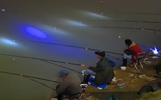 鳜鱼好养吗，饲养的难度偏高