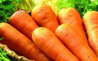 2月份适合种植的蔬菜，常见的有黄瓜、胡萝卜、菠菜等